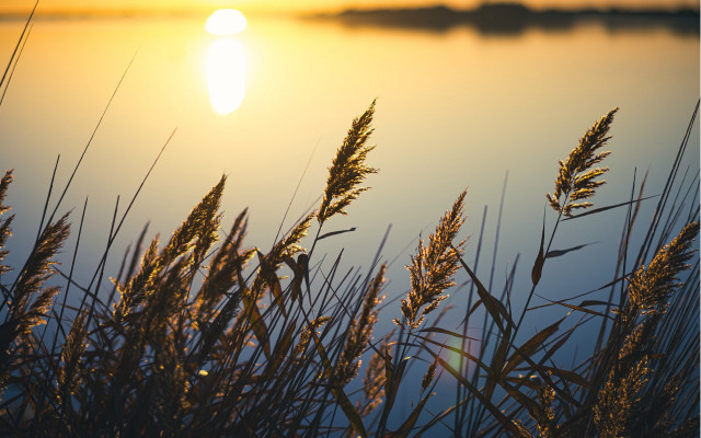 Sunset lake tallgrass tranquil berndfasching free wallpaper - medium preview image