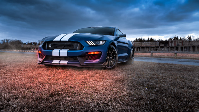 Blue mustang cobra white stripe free wallpaper - medium preview image
