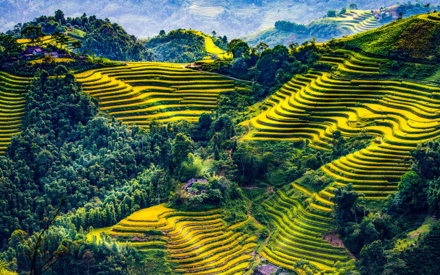 Yellow terraces valley mountains forest free wallpaper - medium preview image