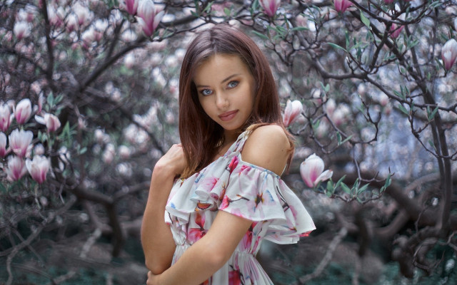 Daphne mcclure pink flower tree free wallpaper - medium preview image