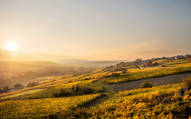 Scenic rural sunset person path free wallpaper - medium preview image