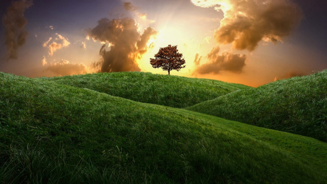 Hill sunset tree clouds landscape free wallpaper - medium preview image