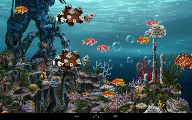 Coral reef fish colorful underwater free wallpaper - medium preview image