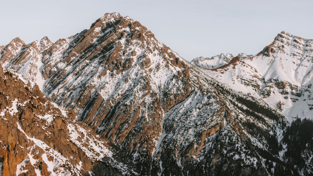 Snowy mountain range bare tree free wallpaper - medium preview image