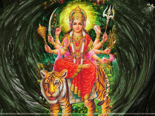 Person sitting tiger sword tiger free wallpaper - medium preview image