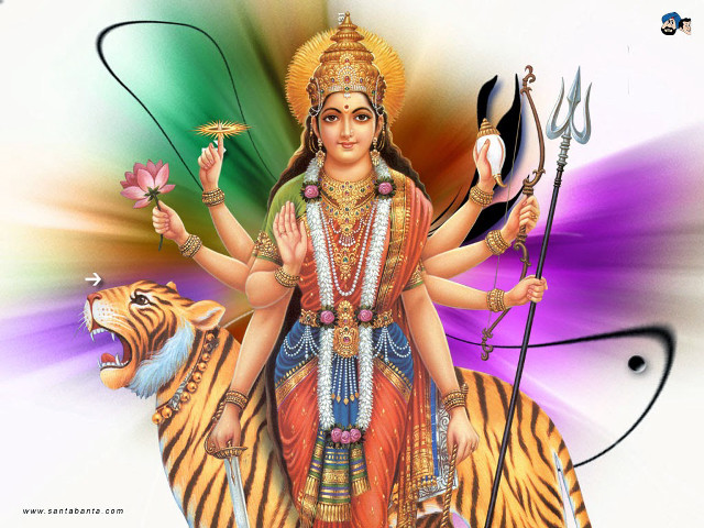 Woman tiger back flower hand free wallpaper - medium preview image