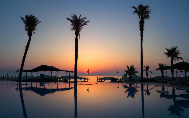 Sunset pool palm trees person free wallpaper - medium preview image