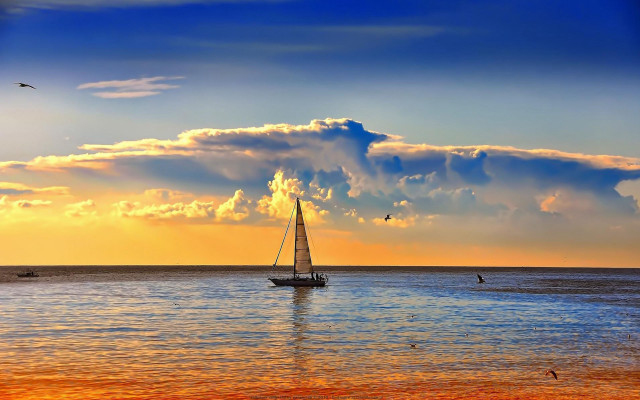 Sailboat sunset ocean bird sky free wallpaper - medium preview image