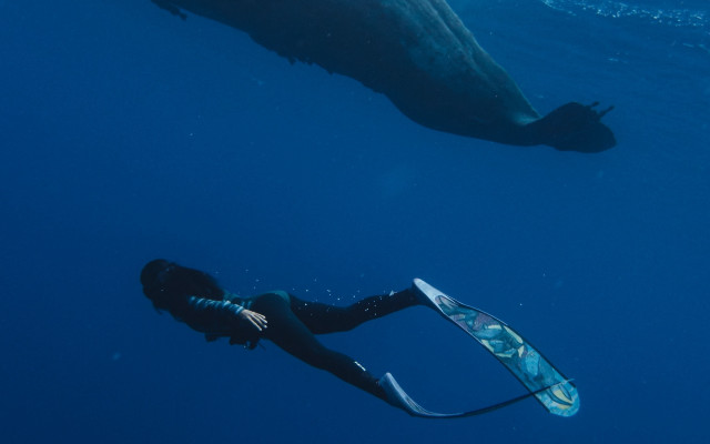 Woman wetsuit swimming whale holography free wallpaper - medium preview image