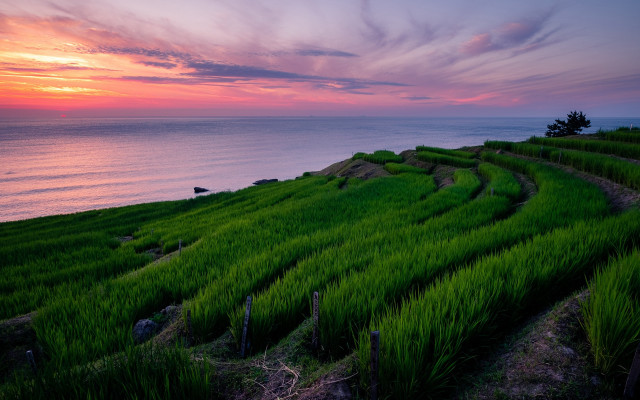 Sunset hill lake clouds grass free wallpaper - medium preview image