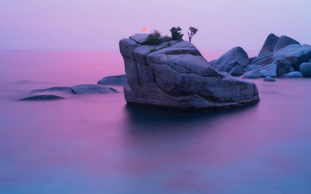 Rock formation water tree purple free wallpaper - medium preview image