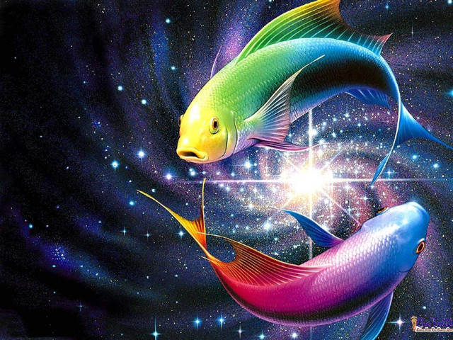 Colorful fish galaxy water stars free wallpaper - medium preview image