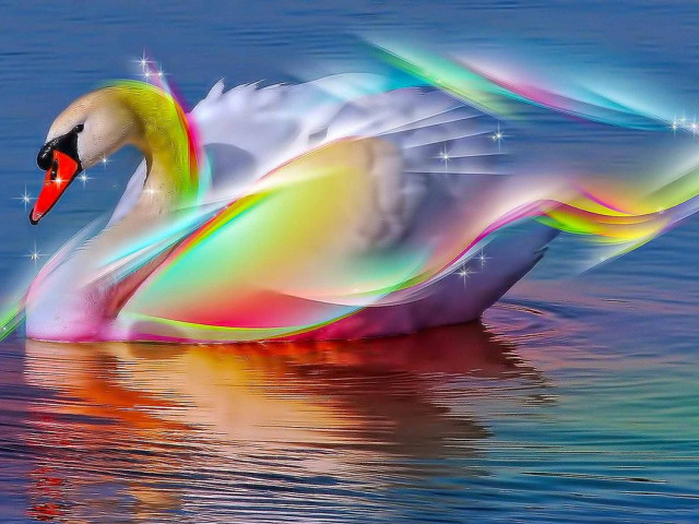 Swan floating water wings glowing free wallpaper - medium preview image