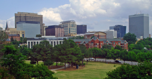 City park trees skyscraper bridge free wallpaper - medium preview image