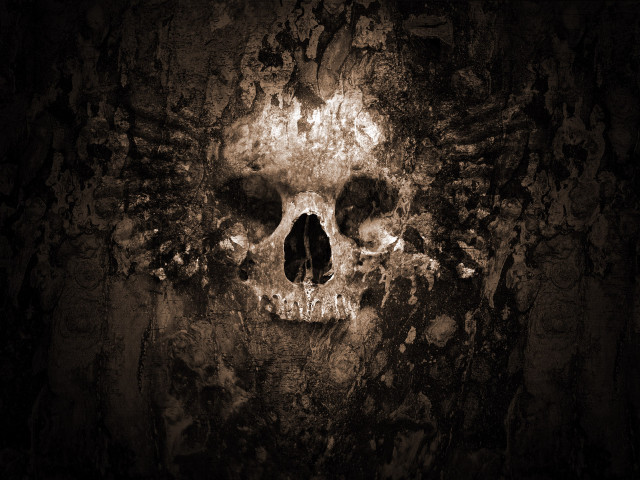Skull wings dark background light free wallpaper for desktop - medium preview image