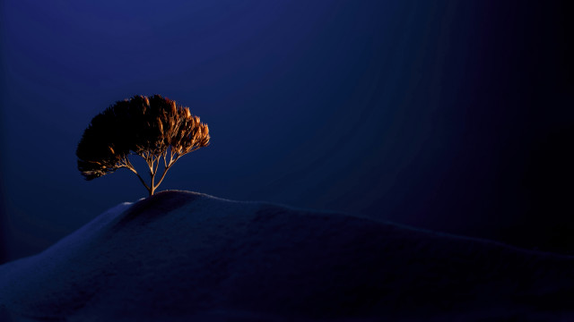 Lone tree snowy hill night free wallpaper - medium preview image
