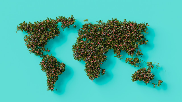 World map plants ecological 3d free wallpaper - medium preview image