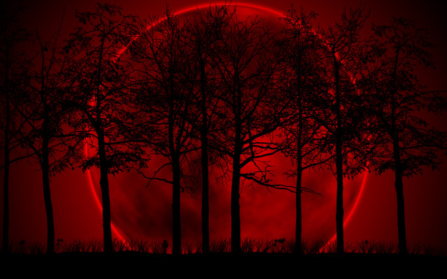 Red moon trees dark night free wallpaper - medium preview image