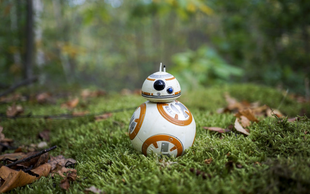 Toy bush grass trees star free wallpaper - medium preview image
