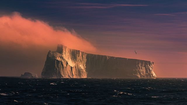 Iceberg bird pink sky ocean free wallpaper - medium preview image