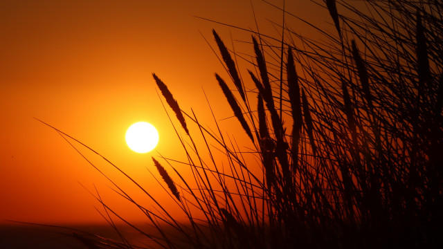 Sunset tallgrass redsky mountain fullmoon free wallpaper - medium preview image