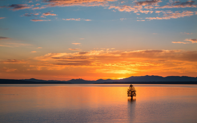 Lone tree lake sunset mountains #3 free wallpaper - medium preview image