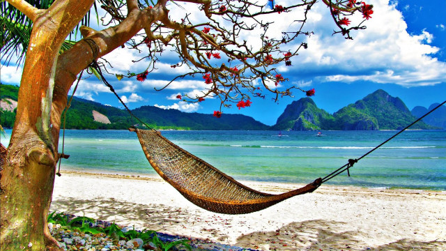 Hammock tree beach ocean mountains free wallpaper - medium preview image