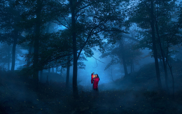 Forest foggy night fireflies magic free wallpaper - medium preview image