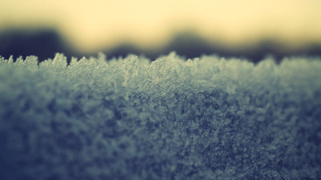 Frosty surface trees sky winter free wallpaper - medium preview image