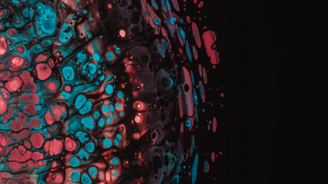 Cellphone blue red case rose free wallpaper - medium preview image