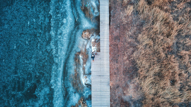 Person walking waterway forest boardwalk free wallpaper - medium preview image