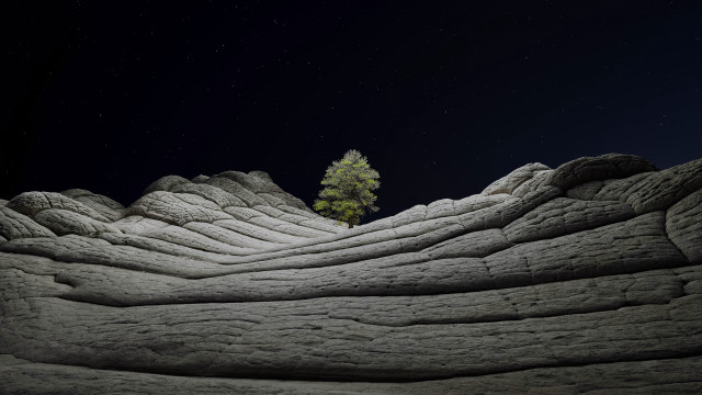 Lone tree night stars mountains free wallpaper - medium preview image