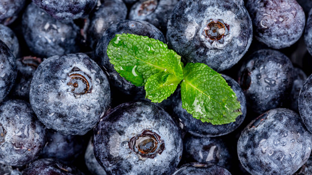 Blueberries greenleaf waterdroplets macro photorealism free wallpaper - medium preview image
