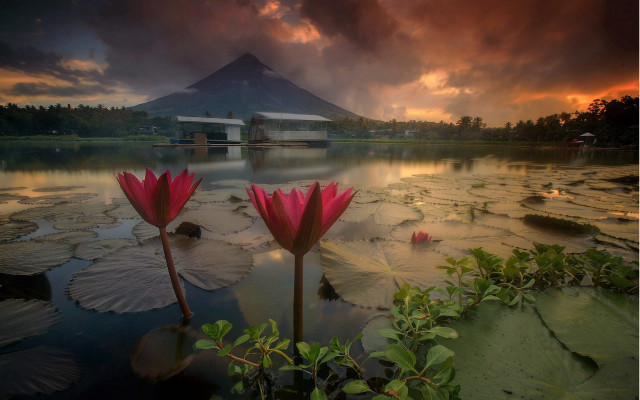 Lake lily pads mountain cloudy free wallpaper - medium preview image