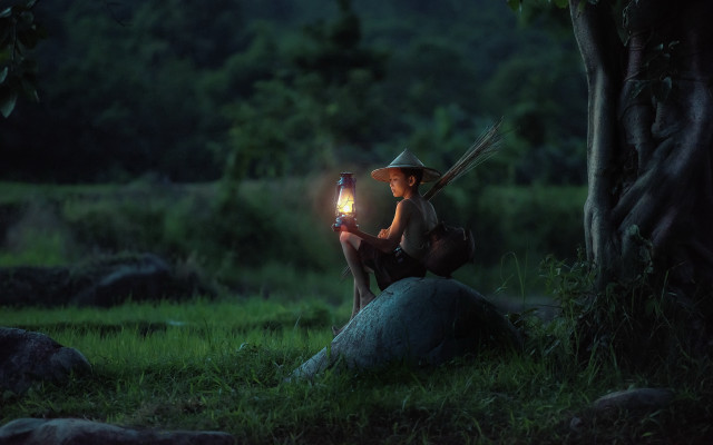 Person sitting forest lantern night free wallpaper - medium preview image