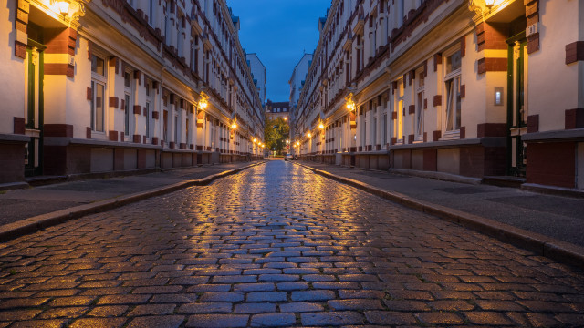 Wet street berlin secession autumn free wallpaper - medium preview image
