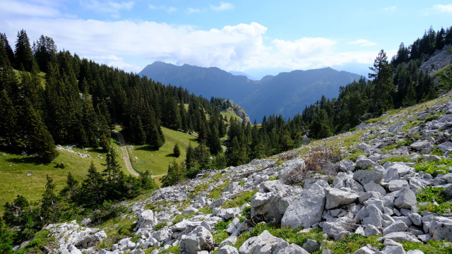 Rocky hillside grassy trees mountain free wallpaper - medium preview image