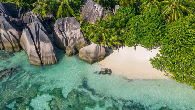 Beach rocks palmtrees clearwater nature free wallpaper - medium preview image