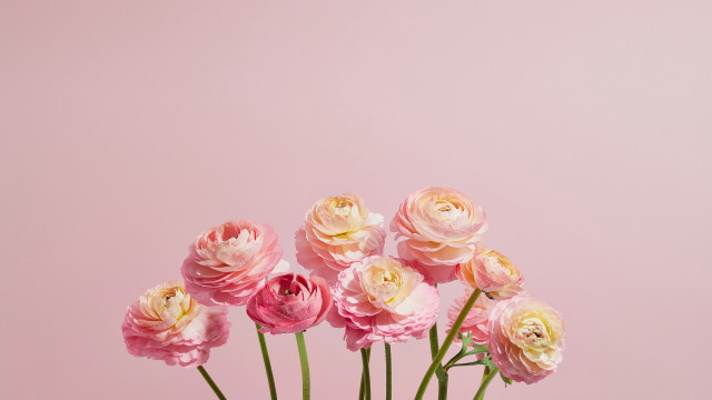 Pink flower vase rococo stilllife free wallpaper - medium preview image