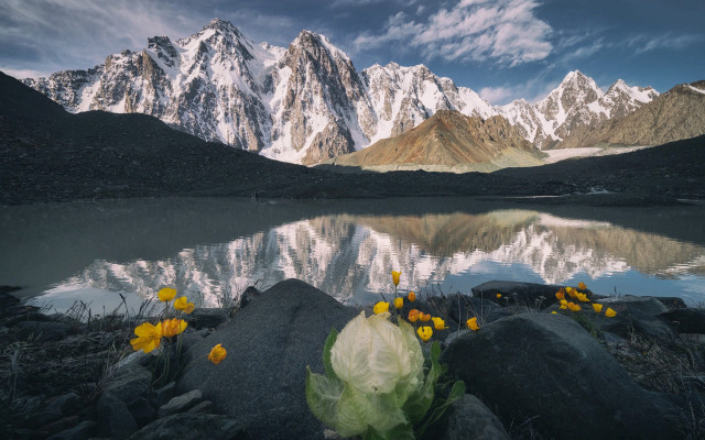 Mountain lake flowers clouds snow free wallpaper - medium preview image