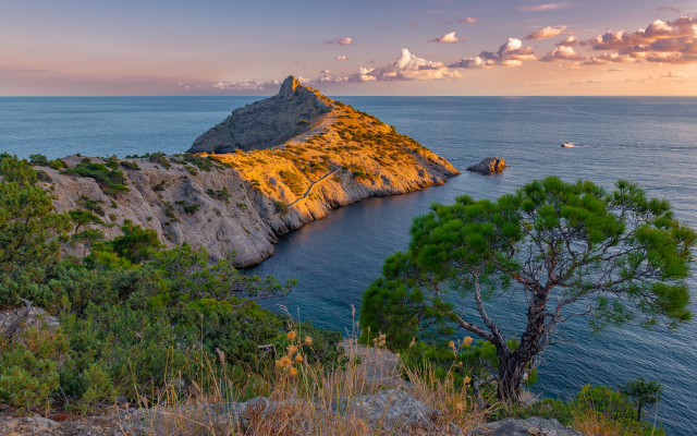 Small island ocean tree boat free wallpaper - medium preview image