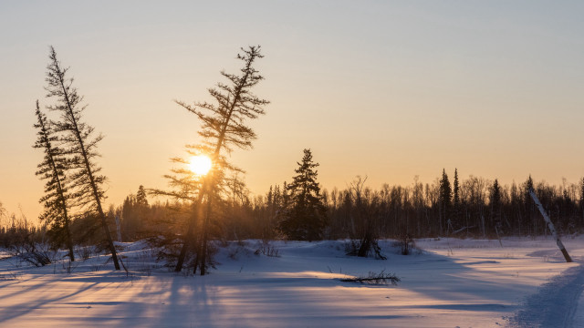 Sunset snowy field trees path #2 free wallpaper - medium preview image