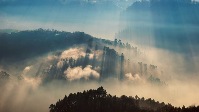 Mountain forest clouds sunbeams nature free wallpaper - medium preview image