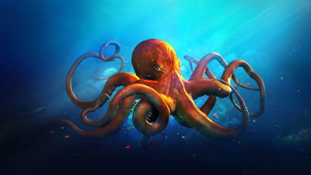 Octopus light shining ocean blue free wallpaper - medium preview image