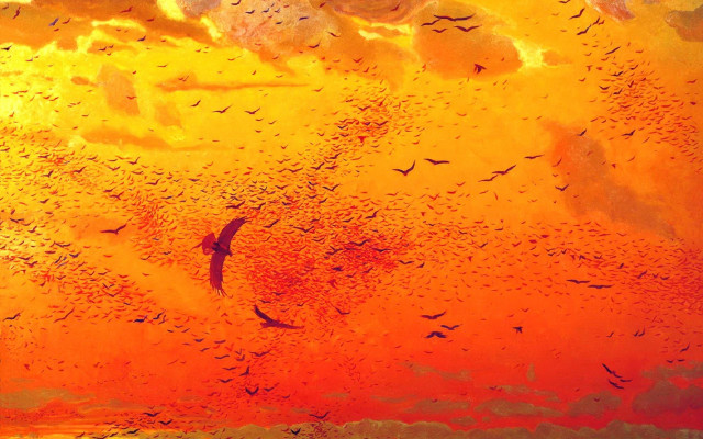 Birds sunset water flock autumn free wallpaper - medium preview image