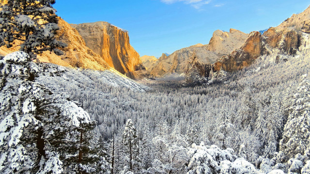 Snowy mountain forest mountains blue free wallpaper - medium preview image