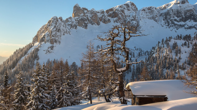 Snowy mountain cabin trees winter free wallpaper - medium preview image