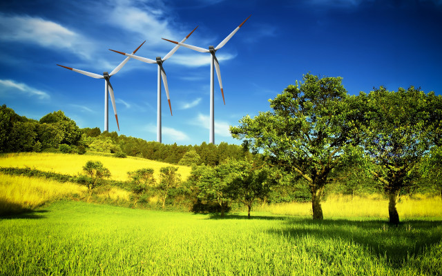 Wind turbines tree sky field free wallpaper - medium preview image
