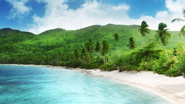 Beach trees water mountain sky free wallpaper - medium preview image