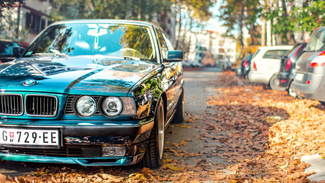 Blue car street tree leaves free wallpaper - medium preview image